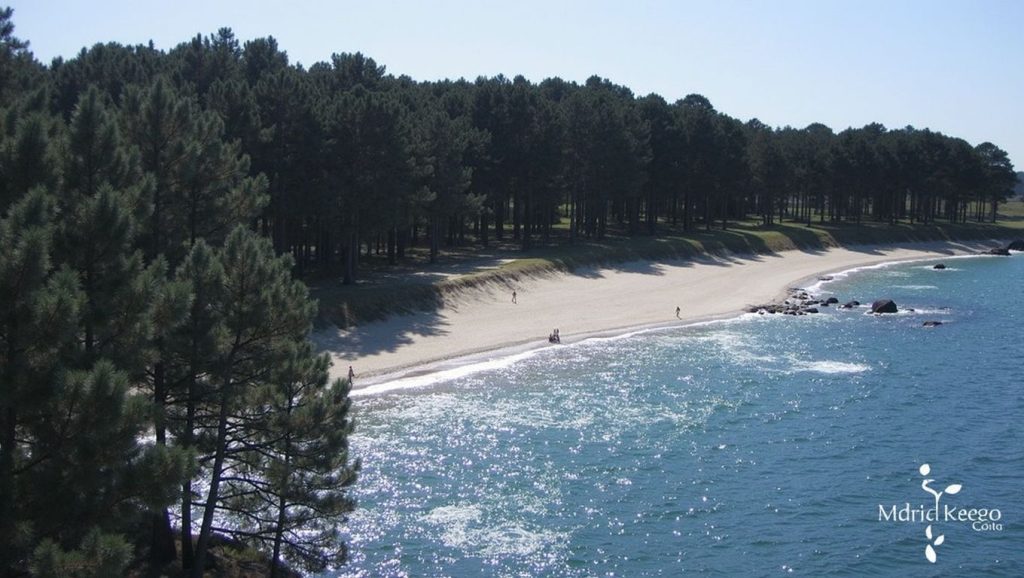 Costa de Galicia desde Praia da Area da Secada, A Coruña