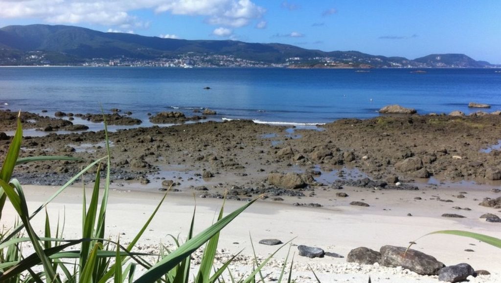 Entorno natural de Praia da Area Fofa en Pontevedra