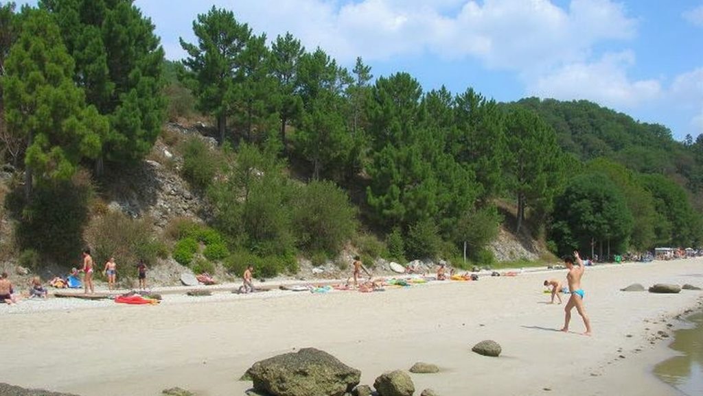 Arena de Praia da Borna, Moaña (Pontevedra)