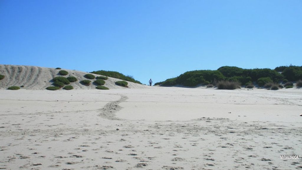 Aguas de Praia da Duna do Caldeirão en Caminha (Pontevedra)