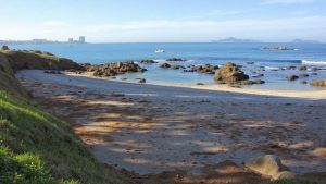 Praia da Espedrigada