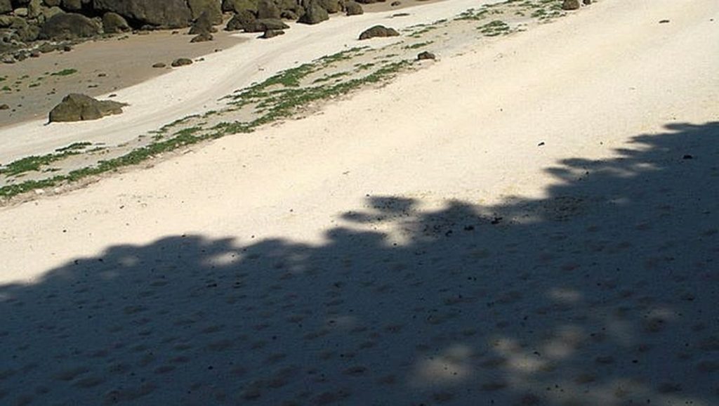 Aguas de Praia da Espedrigada en Vigo (Pontevedra)