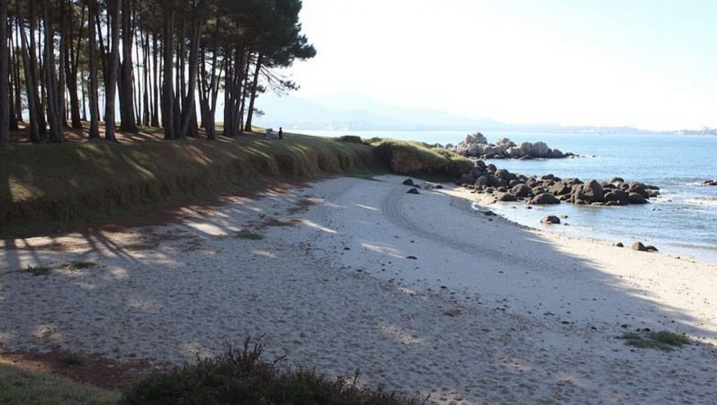 Entorno natural de Praia da Espedrigada en Pontevedra