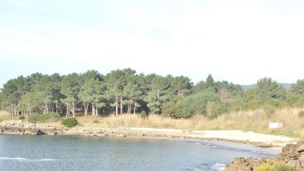 Arena y mar en Praia da Fontenla, Galicia, A Coruña