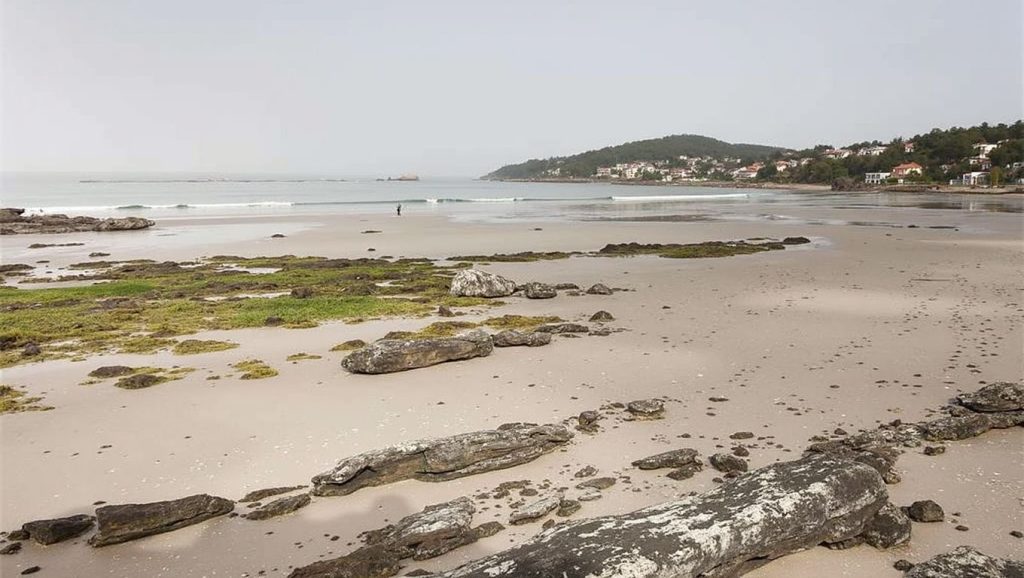 Arena de Praia da Madorra, Nigrán (Pontevedra)