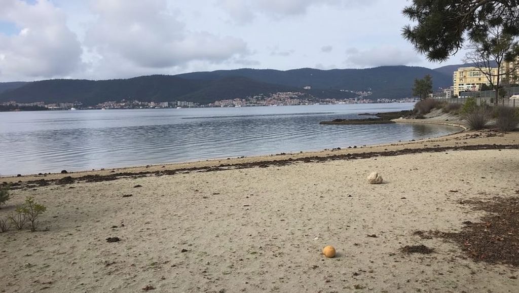 Praia da Posta en Pontevedra (Pontevedra)