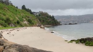 Praia da Punta Fondón (Moaña, Pontevedra)