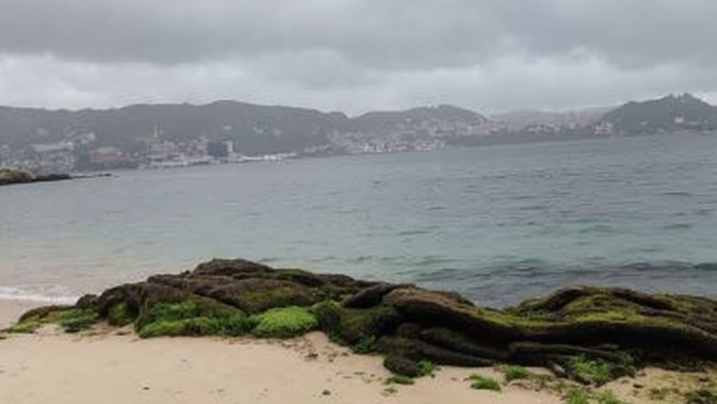 Arena de Praia da Punta Fondón, Moaña (Pontevedra)