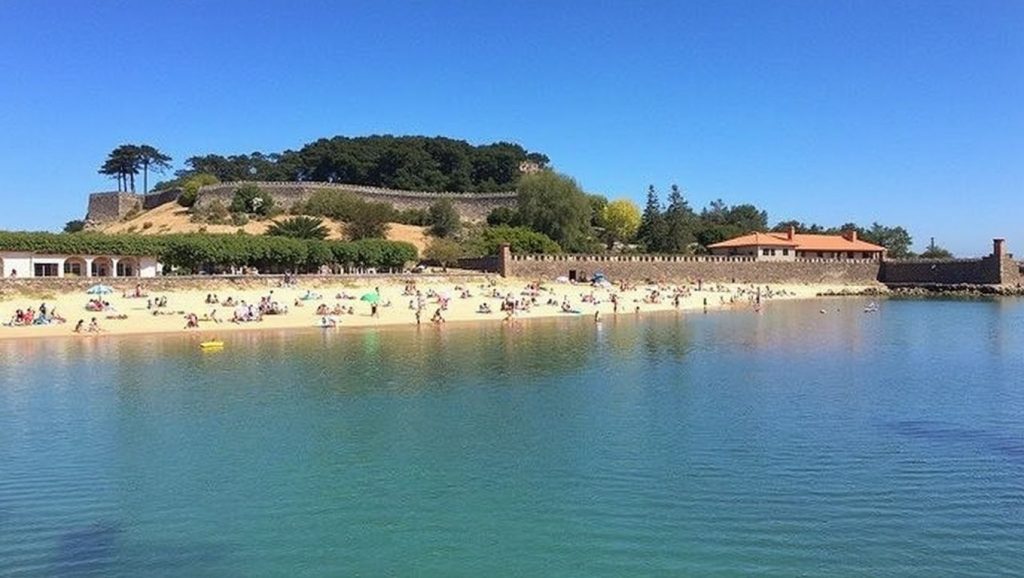 Oleaje en la orilla de Praia da Ribeira da Raposeira, costa de Galicia