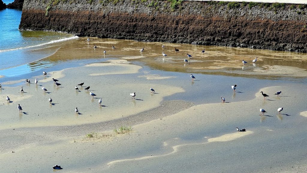 Praia da Ribeira do Secadouro — foto 6 de 6