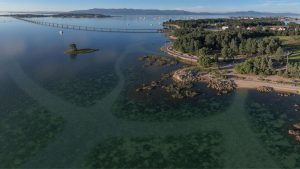 Praia da Roza do Sur