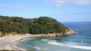 Praia da Vaca
