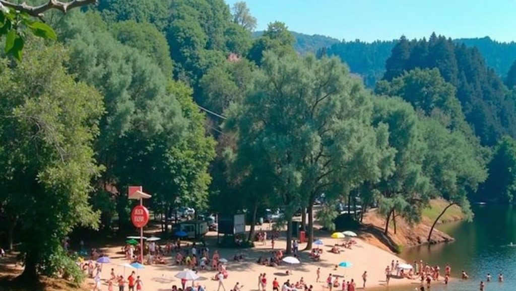 Primer plano de la orilla de Praia da Vouga, Muros