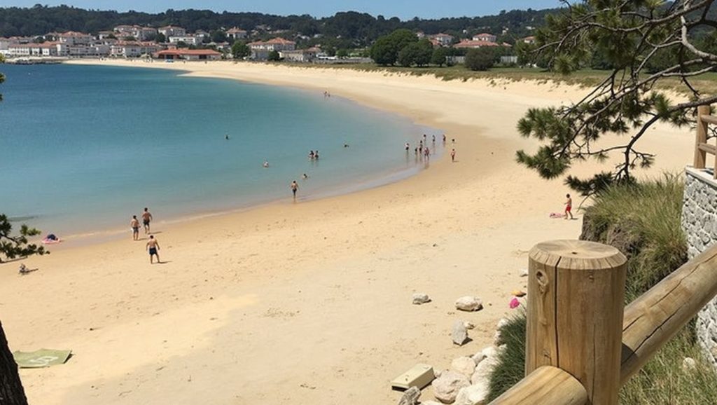 Arena de Praia da Zafra, Ribeira (Pontevedra)