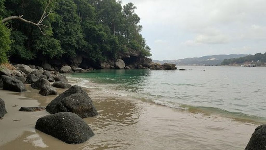 Arena de Praia das Castiñeiras, Cangas de Morrazo (Pontevedra)