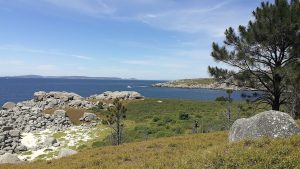 Praia das Gradellas (Bueu, Pontevedra)