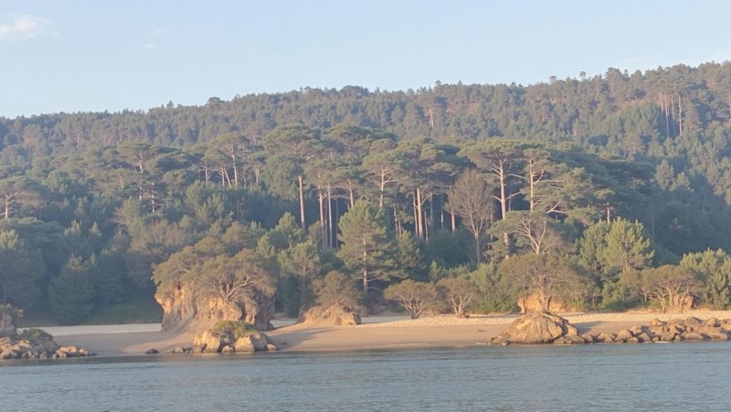 Panorámica de Praia das Leiriñas, A Coruña