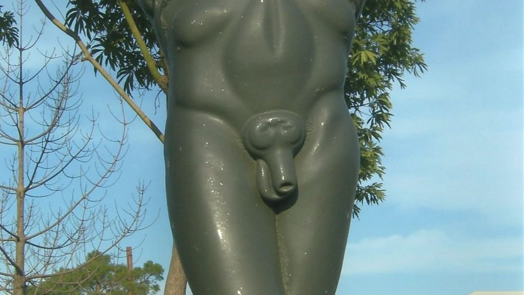 Praia das Suasrozas — foto 1 de 6