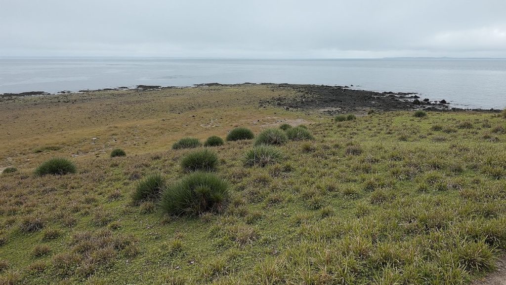 Praia de Abesán — foto 3 de 6