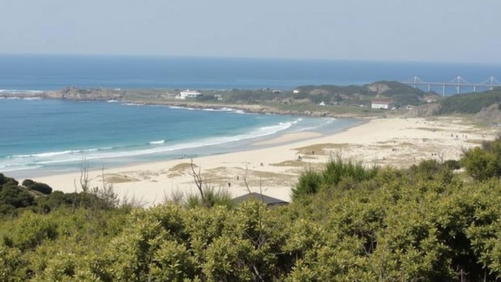 Entorno natural de Praia de Agro Covo en A Coruña