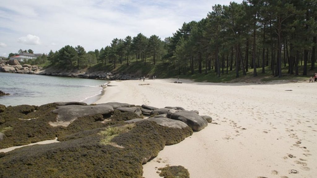 Arena de Praia de Area Secada, Ribeira (Pontevedra)