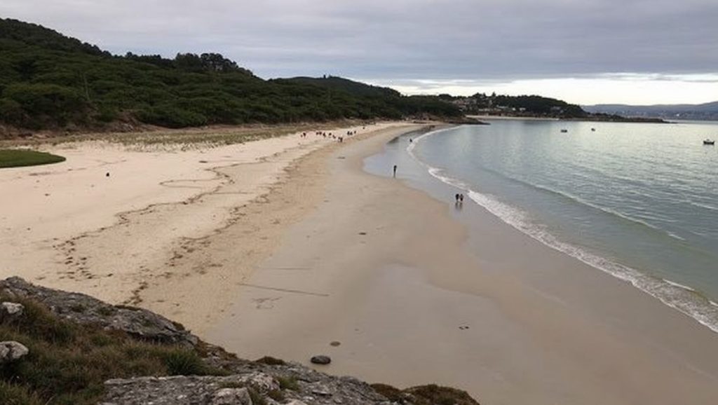 Entorno natural de Praia de Barra en Pontevedra