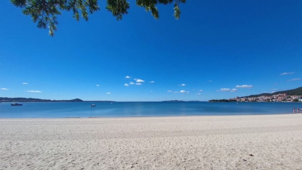 Primer plano de la orilla de Praia de Barraña, Galicia