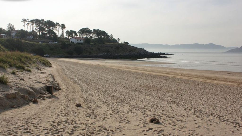 Arena de Praia de Bascuas, Sanxenxo (Pontevedra)
