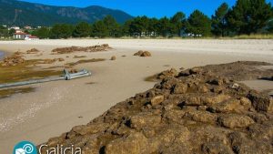 Praia de Bornalle