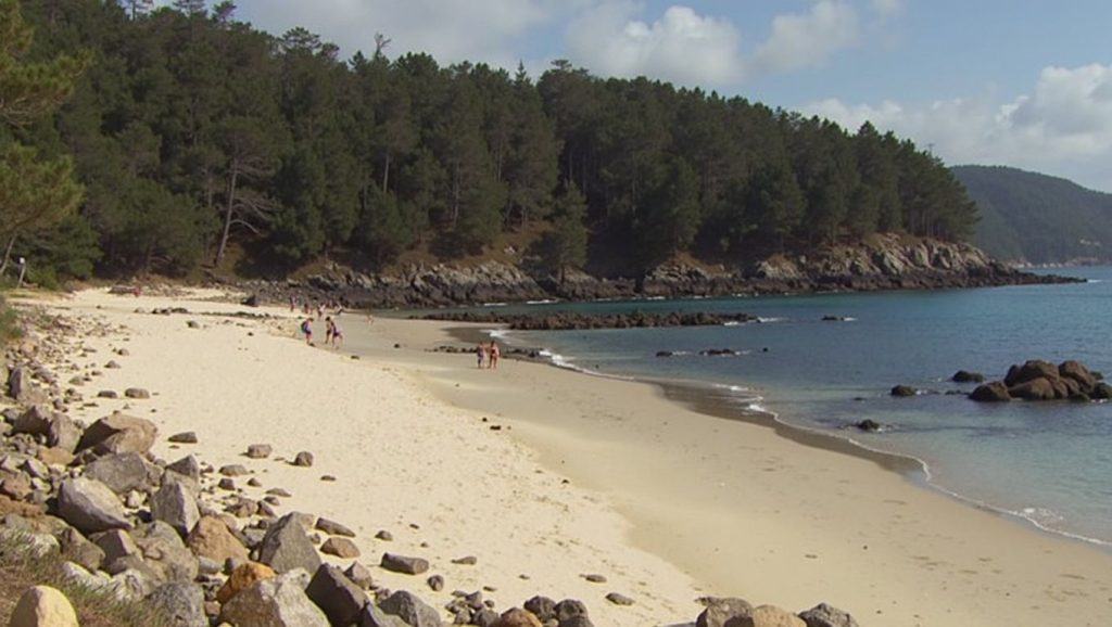 Entorno natural de Praia de Braña de Lazo en A Coruña