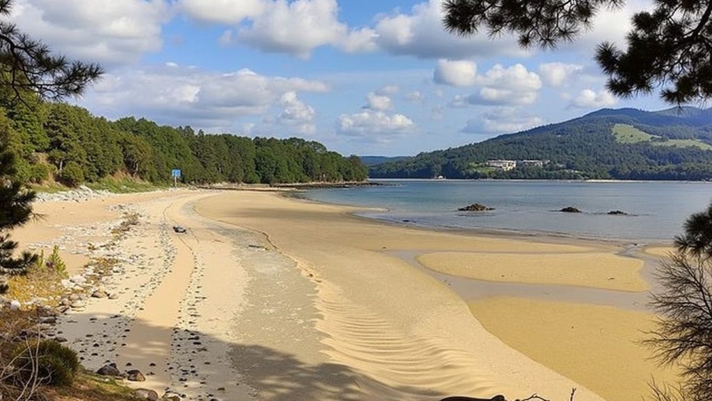 Aguas de Praia de Broña en Outes (A Coruña)