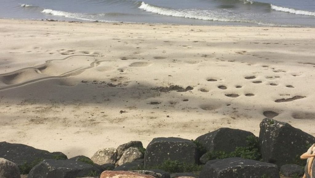 Entorno natural de Praia de Caminha en Pontevedra