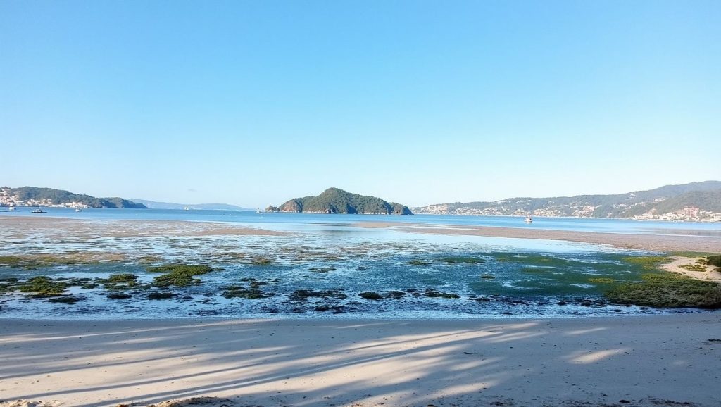 Arena de Praia de Campelo, Mañón (Lugo)