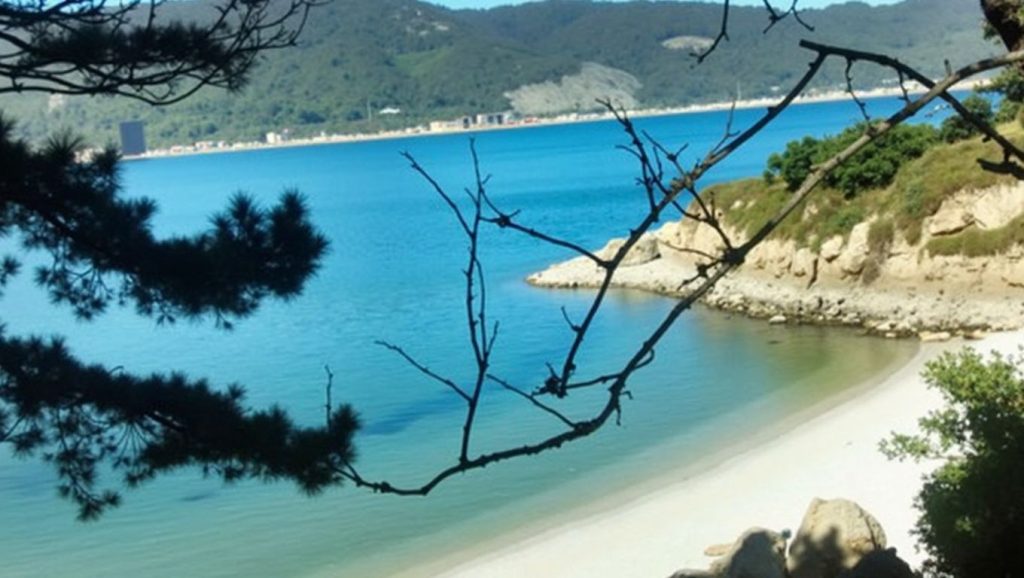 Entorno natural de Praia de Canide en A Coruña