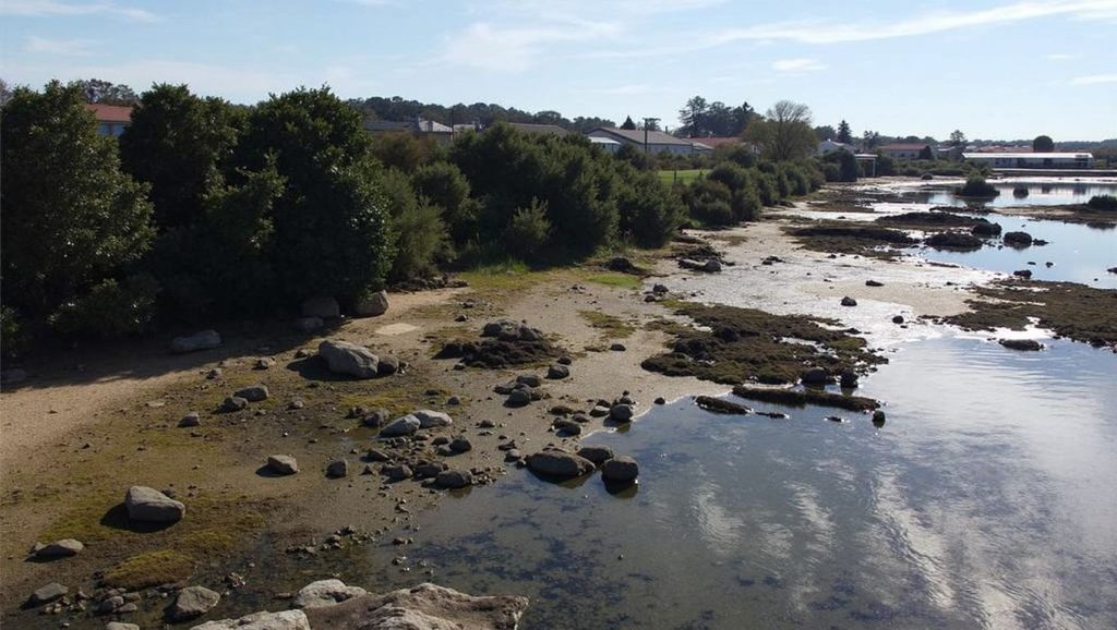 Panorámica de Praia de Catro Cordas con arena y mar, Galicia