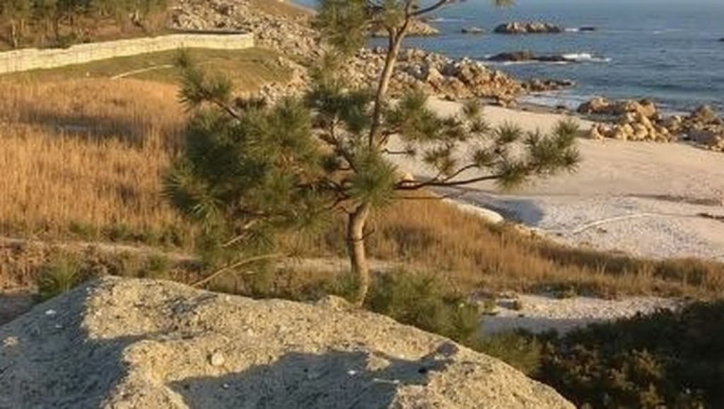 Aguas de Praia de Celeiráns en Ribeira (Pontevedra)
