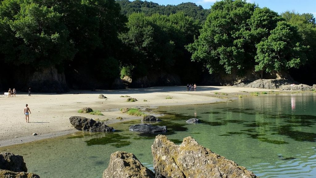 Arena de Praia de Centroña, Pontedeume (A Coruña)