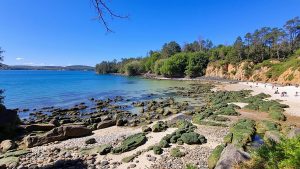 Praia de Chamoso