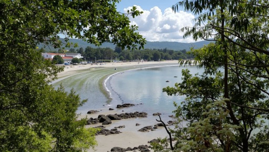Arena de Praia de Chamoso, Galicia (A Coruña)