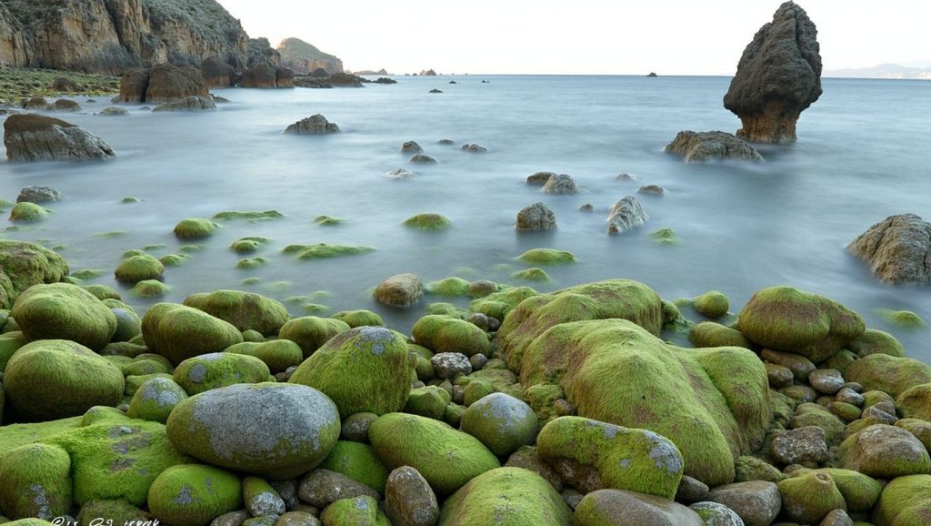 Panorámica de Praia de Coído, A Coruña