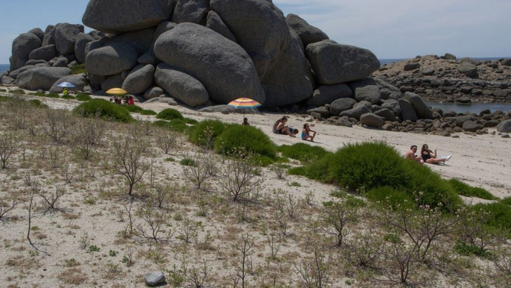 Arena de Praia de Con Negro, O Grove (Pontevedra)