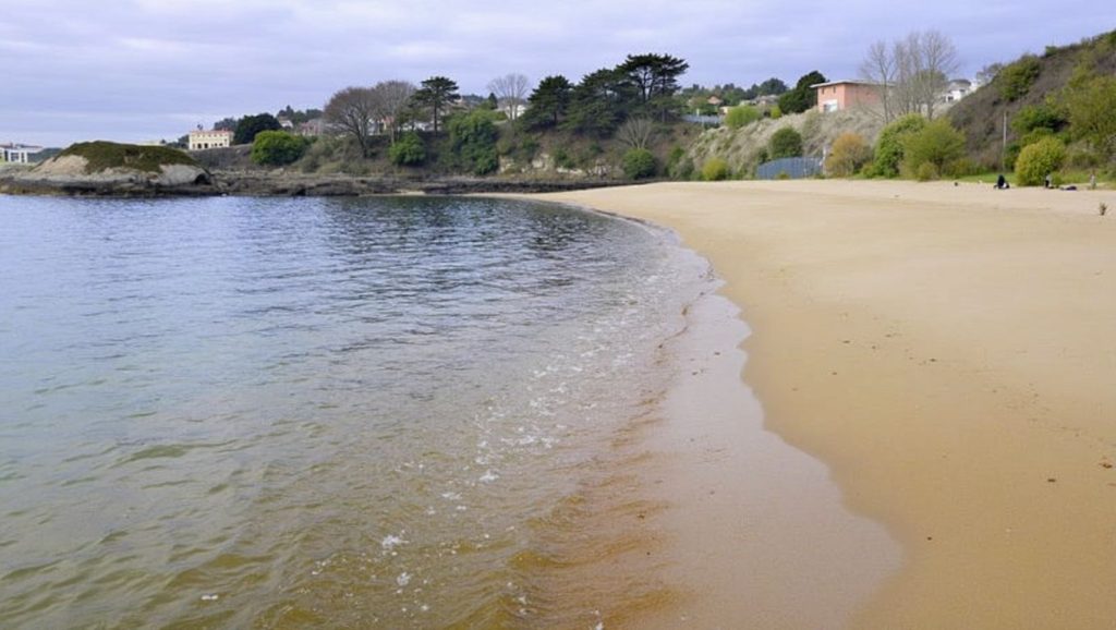 Entorno natural de Praia de Espiñeiro en A Coruña