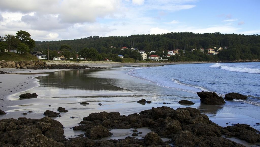Entorno natural de Praia de Estorde en A Coruña