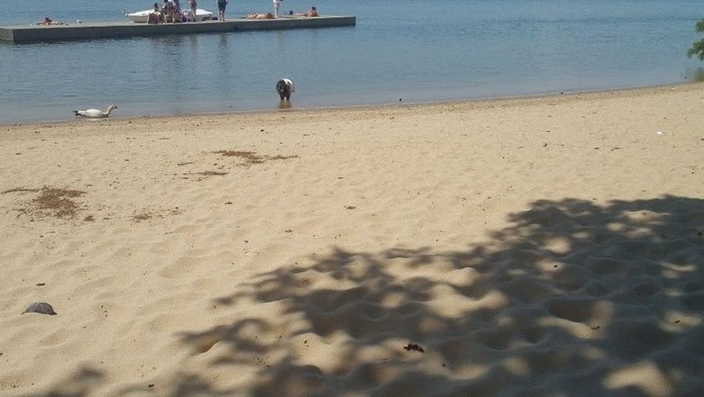 Aguas de Praia de Goián en Tomiño (Pontevedra)