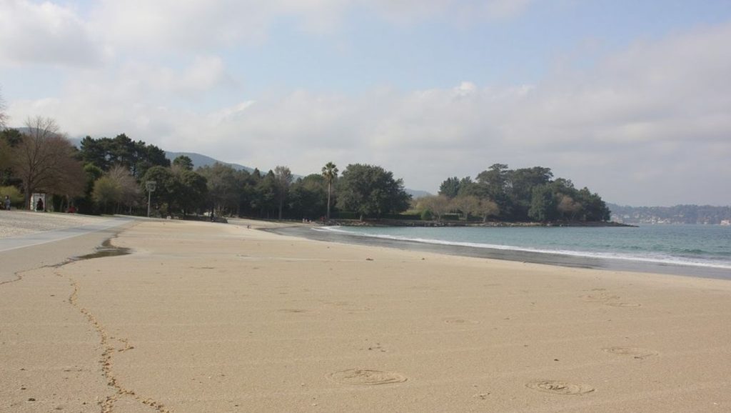 Panorámica de Praia de Lapamán, Pontevedra