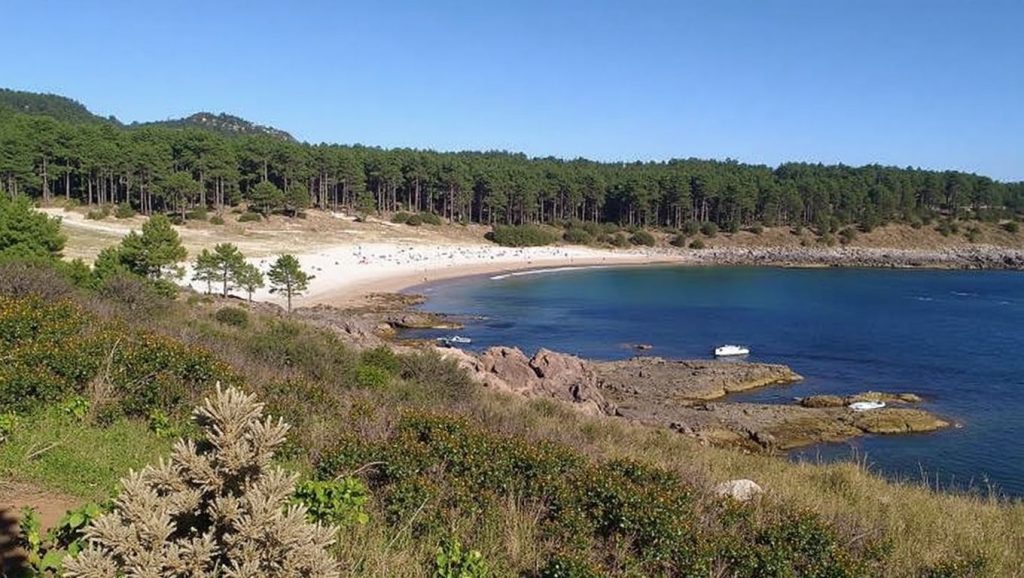 Entorno natural de Praia de Mellide en Pontevedra