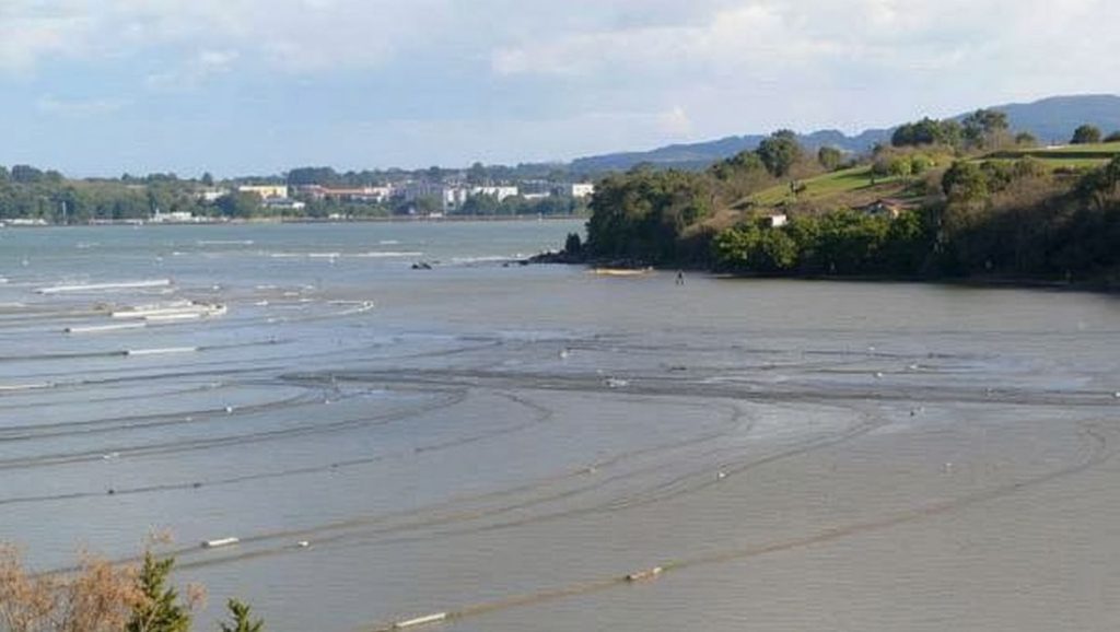 Aguas de Praia de Moruxo en Bergondo (A Coruña)
