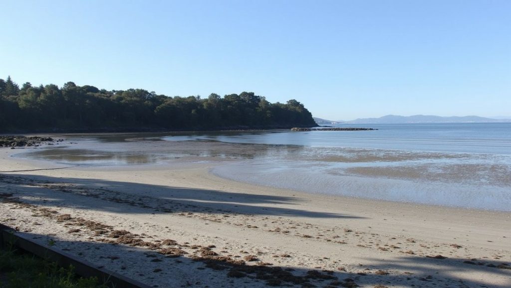 Arena de Praia de Moruxo, Bergondo (A Coruña)