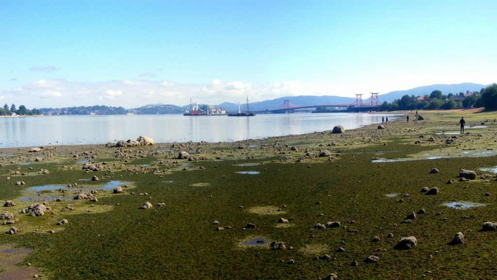 Praia de Noville — foto 5 de 6