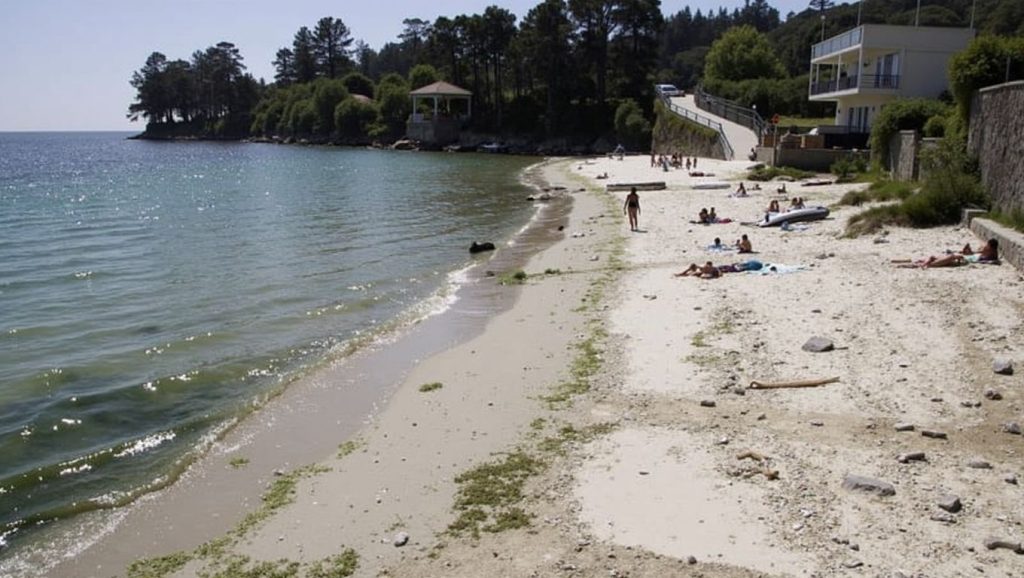 Arena de Praia de Ouriceira, Poio (Pontevedra)